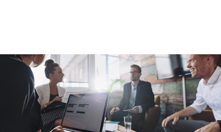 Real Estate Solutions image